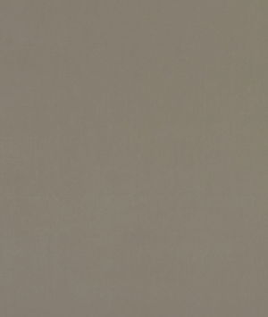 Clarke & Clarke Alvar Taupe Fabric