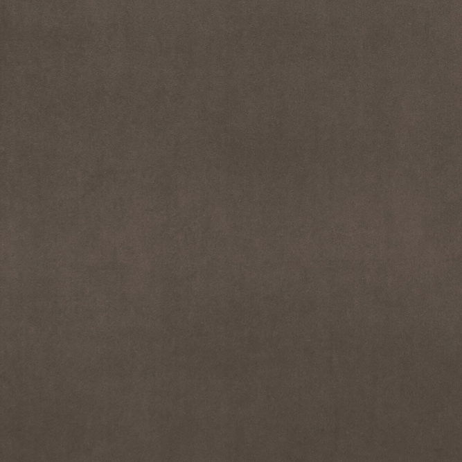 Clarke &amp; Clarke Alvar Beaver Fabric