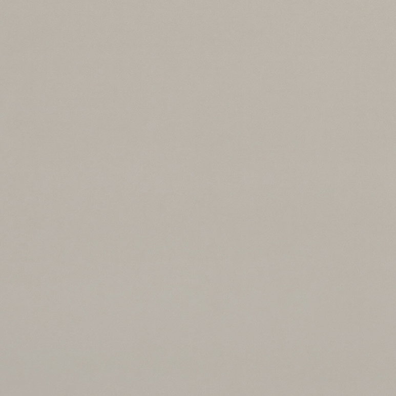 Clarke &amp; Clarke Alvar Birch Fabric