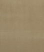 Clarke & Clarke Alvar Lark Fabric