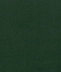 Clarke & Clarke Alvar Emerald Fabric