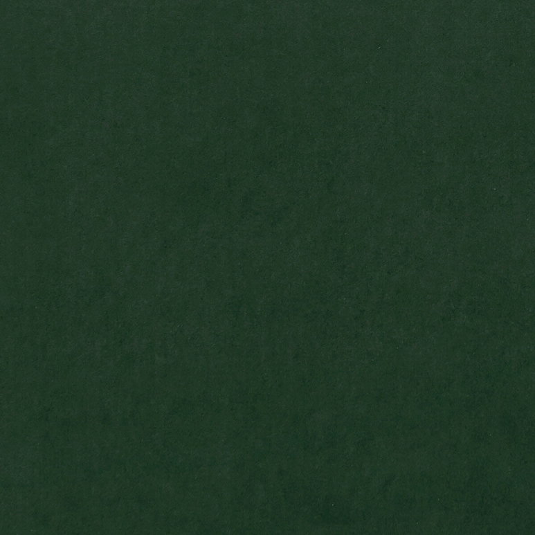 Clarke &amp; Clarke Alvar Emerald Fabric