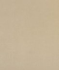 Clarke & Clarke Alvar Flaxen Fabric