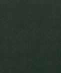 Clarke & Clarke Alvar Forest Fabric
