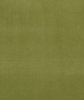 Clarke & Clarke Alvar Leaf Fabric