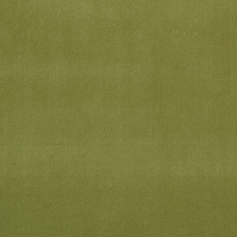 Clarke &amp; Clarke Alvar Leaf Fabric