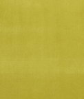 Clarke & Clarke Alvar Lime Fabric