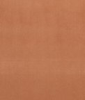 Clarke & Clarke Alvar Tamarind Fabric