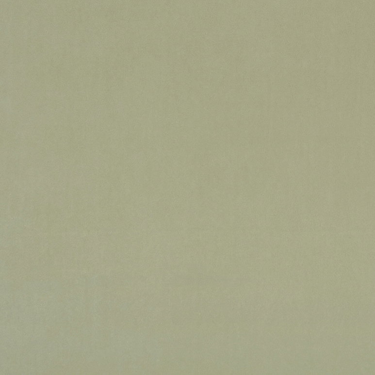 Clarke &amp; Clarke Alvar Thyme Fabric