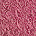 Clarke & Clarke Gautier Passion Fabric
