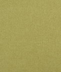Clarke & Clarke Highlander Fern Fabric