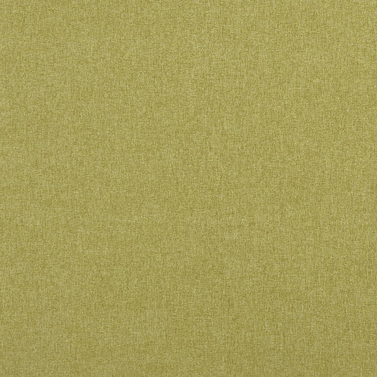 Clarke &amp; Clarke Highlander Fern Fabric