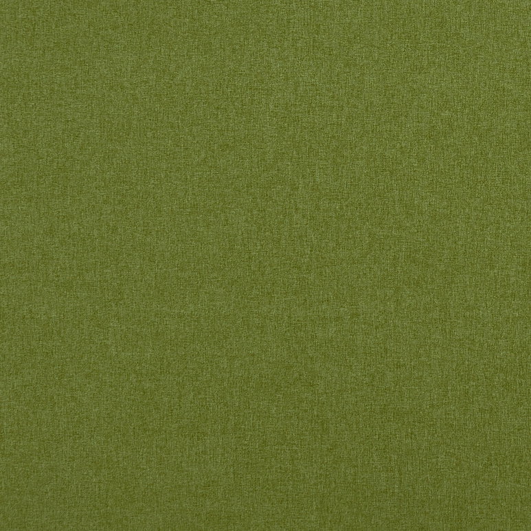 Clarke &amp; Clarke Highlander Amazon Fabric