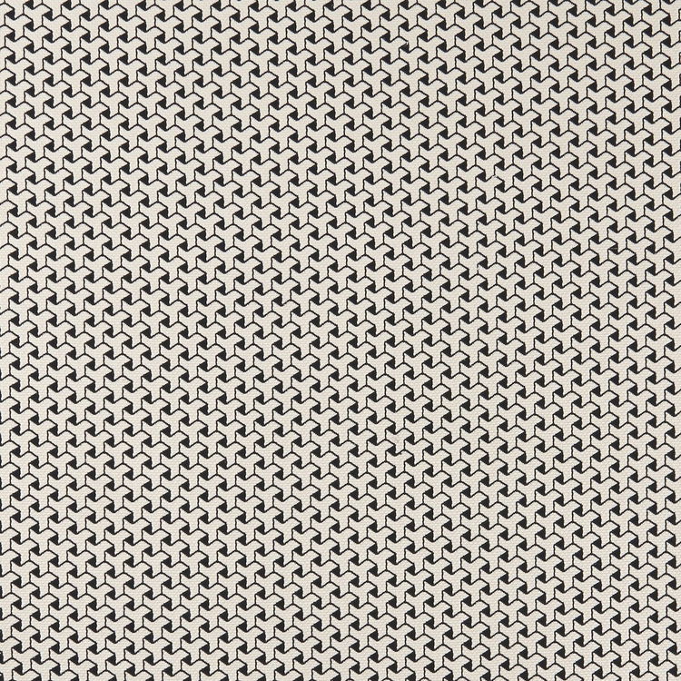 Clarke & Clarke BW1034 Black/White Fabric