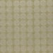 Clarke & Clarke Kiko Willow Fabric