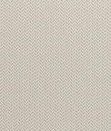 Clarke & Clarke Zalika Natural Fabric