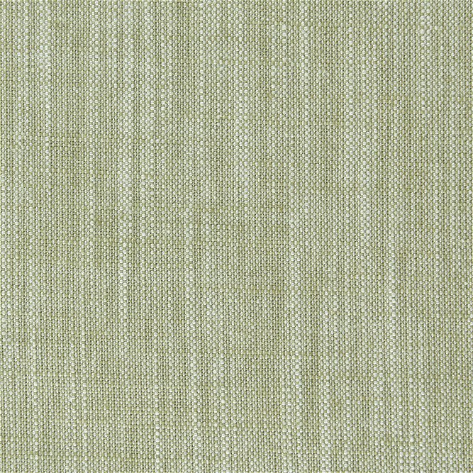 Clarke &amp; Clarke Biarritz Eucalyptus Fabric