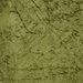 Clarke & Clarke Sylvana Olive Fabric