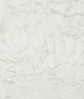 Clarke & Clarke Sylvana Oyster Fabric