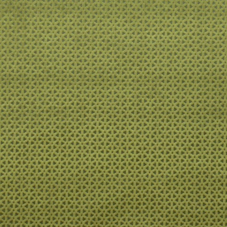 Clarke &amp; Clarke Loreto Olive Fabric