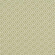 Clarke & Clarke Keaton Olive Fabric