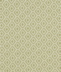 Clarke & Clarke Keaton Olive Fabric