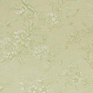 Clarke & Clarke Simone Citron Fabric