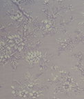 Clarke & Clarke Simone Heather Fabric