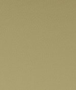 Clarke & Clarke Spectrum Antique