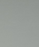 Clarke & Clarke Spectrum Birch
