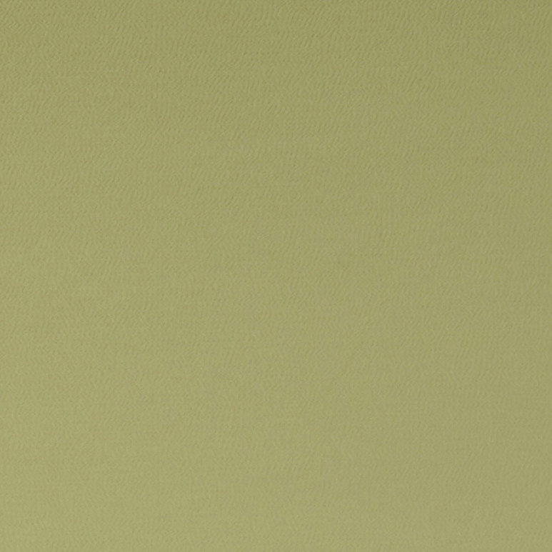 Clarke &amp; Clarke Spectrum Chameleon Fabric