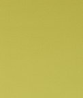 Clarke & Clarke Spectrum Chartreuse Fabric
