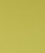 Clarke & Clarke Spectrum Chartreuse