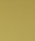 Clarke & Clarke Spectrum Dijon Fabric
