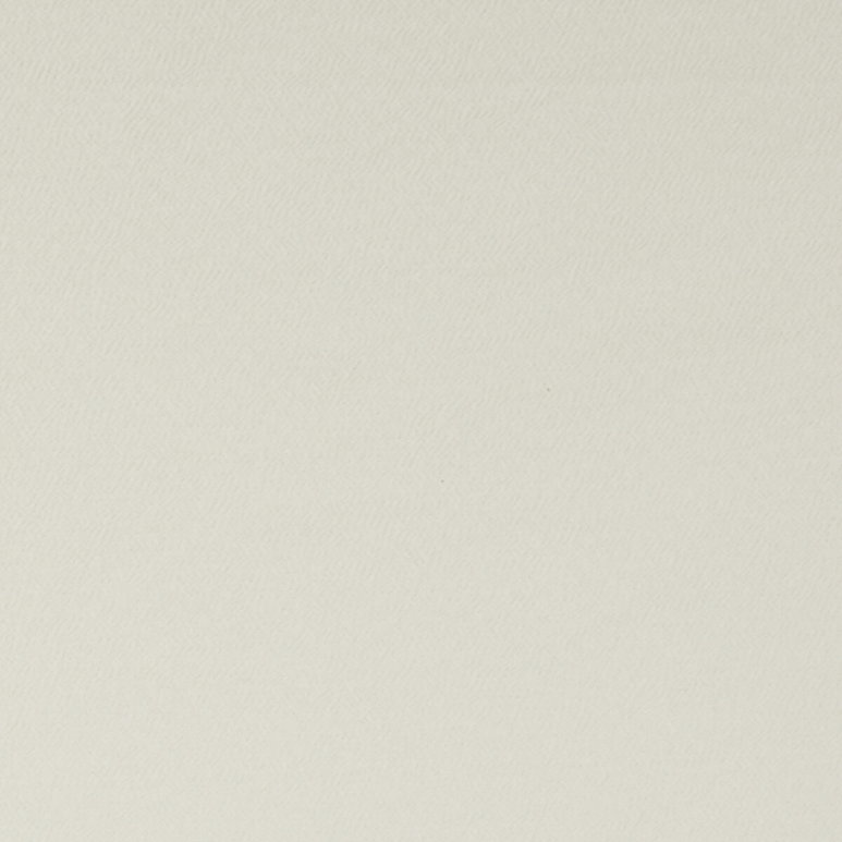 Clarke &amp; Clarke Spectrum Ivory Fabric