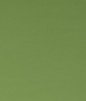 Clarke & Clarke Spectrum Oregano Fabric