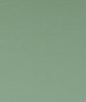 Clarke & Clarke Spectrum Thyme Fabric