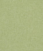 Clarke & Clarke Midori Apple