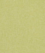 Clarke & Clarke Midori Citron