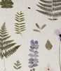 Clarke & Clarke Herbarium Blush/Natural Fabric