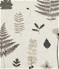 Clarke & Clarke Herbarium Charcoal/Natural Fabric