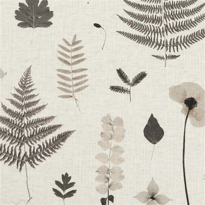 Clarke &amp; Clarke Herbarium Charcoal/Natural Fabric