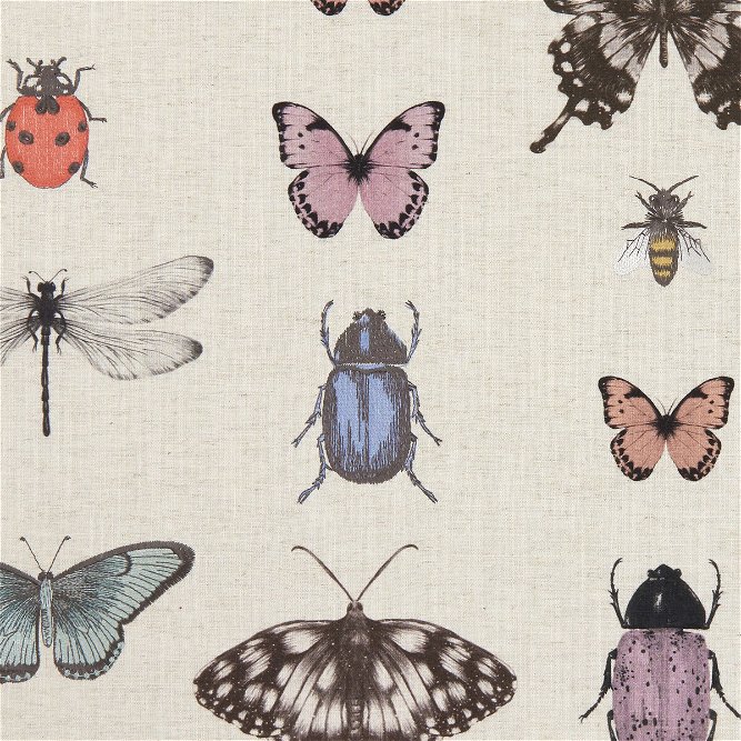 Clarke &amp; Clarke Papilio Blush/Natural Fabric