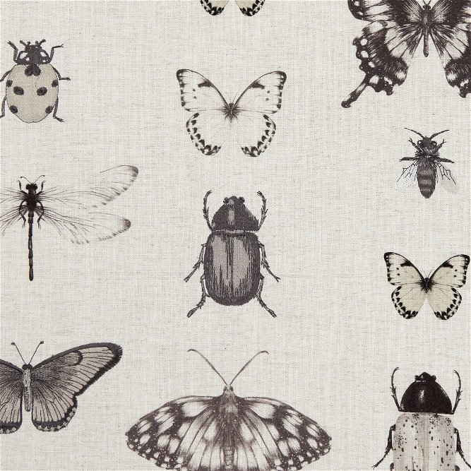Clarke &amp; Clarke Papilio Charcoal/Linen Fabric