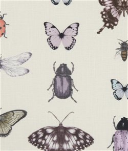 Clarke & Clarke Papilio Heather/Ivory