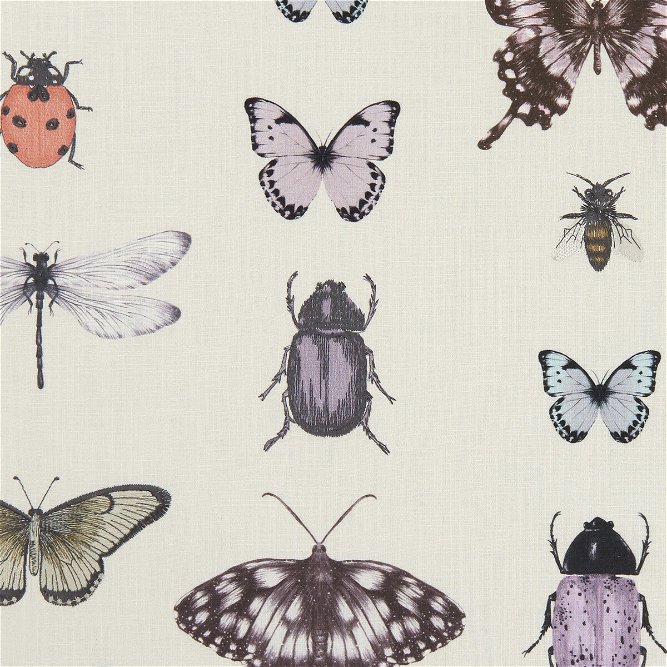Clarke &amp; Clarke Papilio Heather/Ivory Fabric