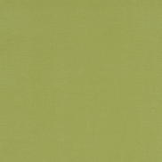 Clarke & Clarke Alora Apple Fabric