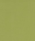 Clarke & Clarke Alora Apple Fabric
