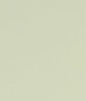 Clarke & Clarke Alora Celadon Fabric
