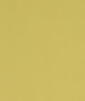 Clarke & Clarke Alora Celery Fabric